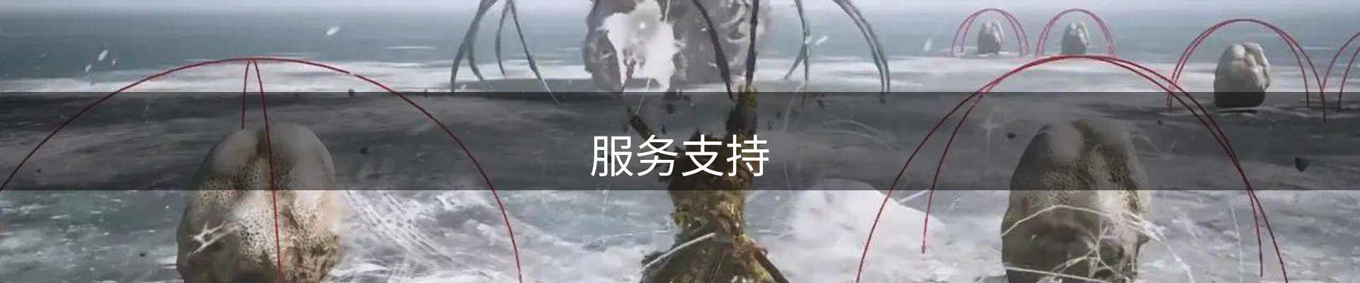 服务支持